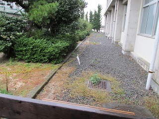 IMG_2175.jpg